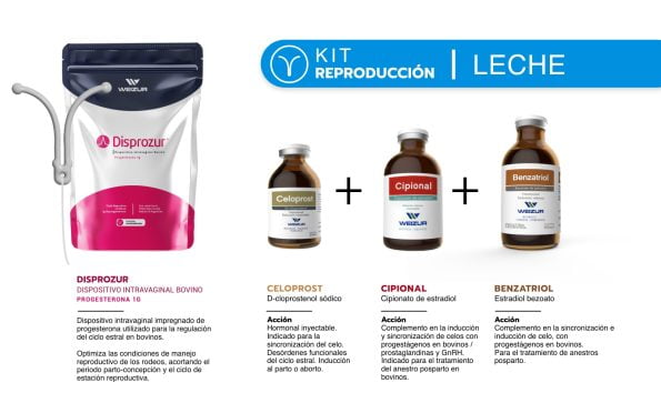 Kit_reproduccion)para_bovinos_de_leche-weizur – 2